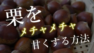 栗の茹で方まとめ！【ためしてガッテン流・圧力鍋・炊飯器】 | Bow!-バウ！-