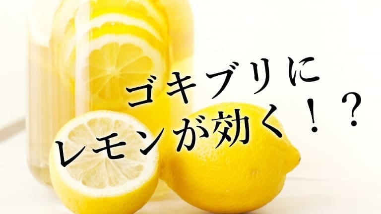 ゴキブリにはなぜレモンやレモングラスが効果的か？それはd-リモネンのおかげ